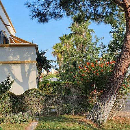 Nice 2 Bedroom Apartment Groundfloor Swimming Pool Tavira Exteriér fotografie